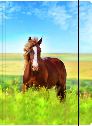 A3 Sammelmappe "Cheval"