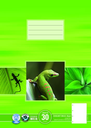 A4 Heft Lin. 30, 16 Blatt